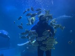 -左海海底世界
