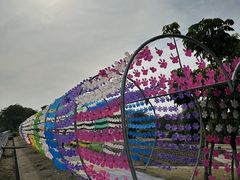 -广东花都香草世界旅游度假区
