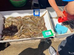 -何庄子阿米玛玛农产品批发市场