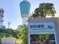 -梧桐山风景名胜区