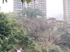 -重庆彩云湖湿地公园