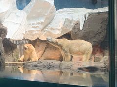 -海合安武汉极地海洋公园
