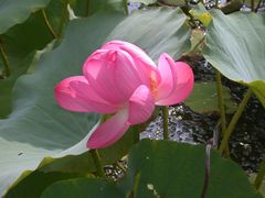 -南戴河国际娱乐中心