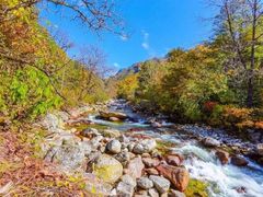 -秦岭风景区