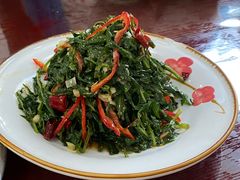 米椒韭菜-尹家渠烩肉馆(金凤店)
