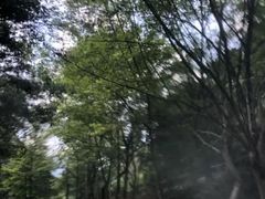 -千岛湖王子谷漂流