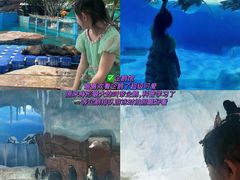-海合安成都极地海洋公园