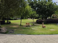 -沙河三洞古桥公园