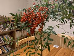 -花苑里咖啡(威远店)
