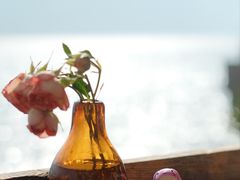 -六阅·福十 FORTEN 海景咖啡西餐厅(双廊古镇店)