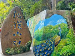 -西双版纳原始森林公园