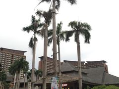 -亚马逊丛林水乐园