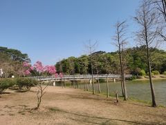 -东莞植物园