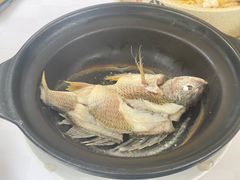 油盐焗海立鱼-百味馆·粤菜·湛江菜(后海花园店)