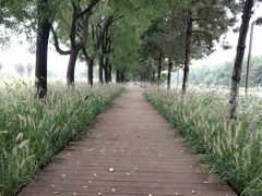 -汉长安城未央宫国家考古遗址公园