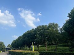 -树山生态村