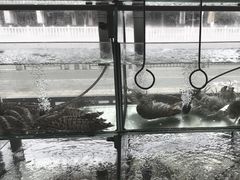 -凯华海鲜火锅·传承三十六年