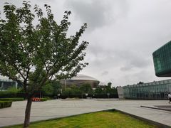 -金陵图书馆