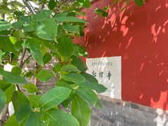 -红螺寺