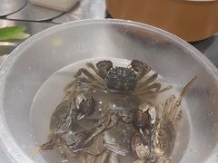 -川锅·火锅·烤肉自助餐厅