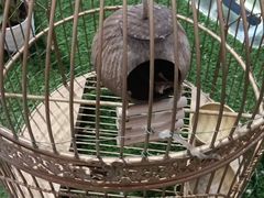 -燕莎友谊商城(金源店)