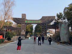 -溱湖国家湿地公园