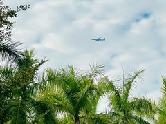 -深圳国际园林花卉博览园