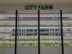 -安利上海体验馆