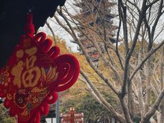 -常熟方塔园
