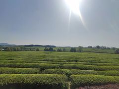 -凤凰沟景区