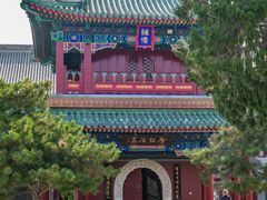-天津大悲禅院