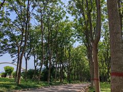 -黄河小浪底水利枢纽风景区