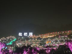 -枇杷园食为鲜火锅(南山店)