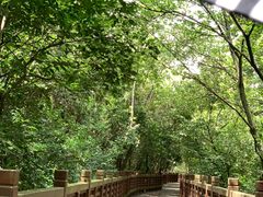 -紫金山索道-售票处