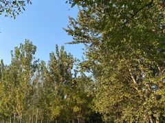 -汉长安城未央宫国家考古遗址公园