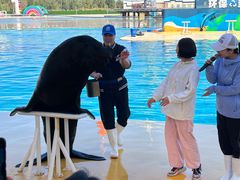 -秦皇岛乐岛海洋王国