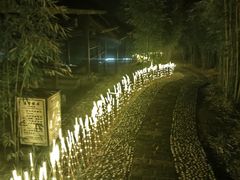 -崇阳三特浪口温泉