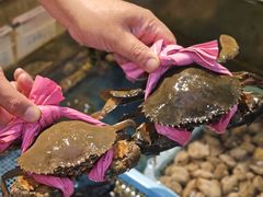 -鑫悦楼煎蟹·16年海鲜大排档