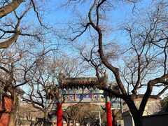 -北京国子监胡同