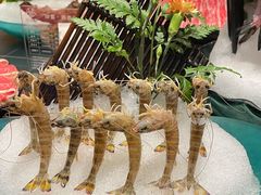 深水虾-鼎泰亨·海鲜牛肉餐厅(滨江店)