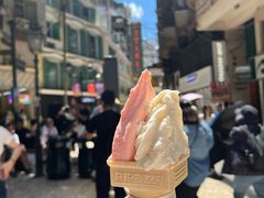 番石榴-柠檬车露(卖草地店)