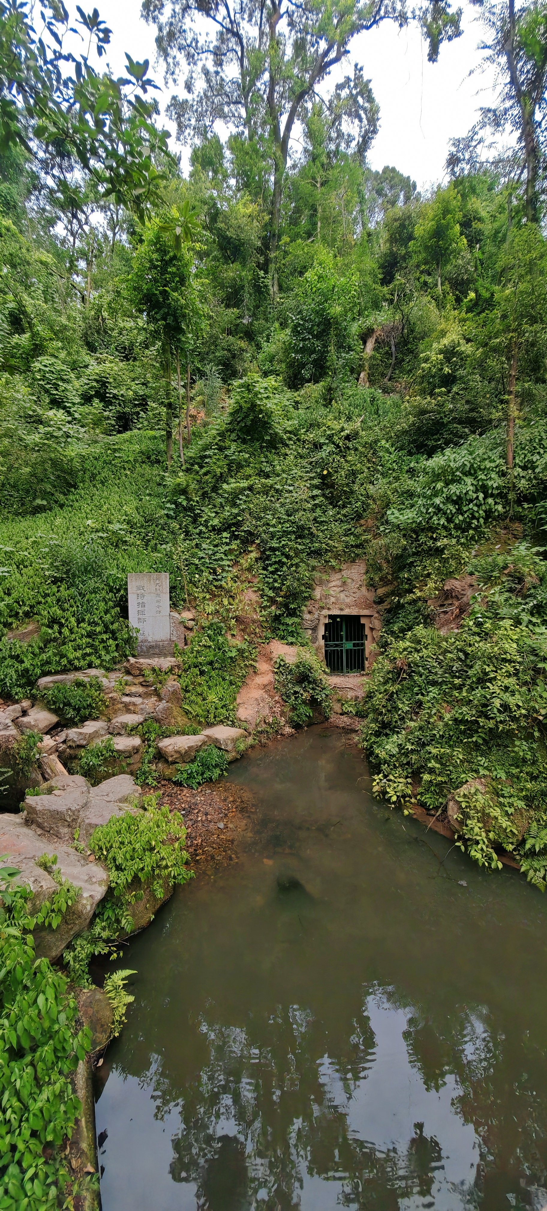 岳麓山下山图片