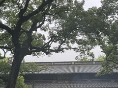 -普陀山风景名胜区-法雨禅寺