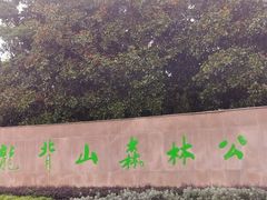 -宜兴龙背山森林公园