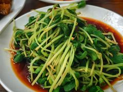 -少林寺欢喜地素斋馆