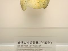 -四川宋瓷博物馆