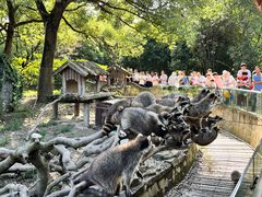 -宁波野生动物园