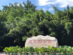 -莲花池公园
