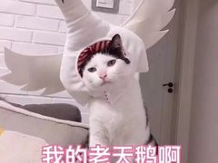 -井圣日膳(万达店)