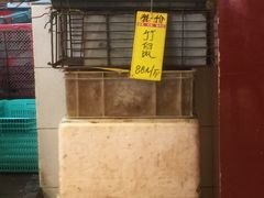 -鸿达渔港